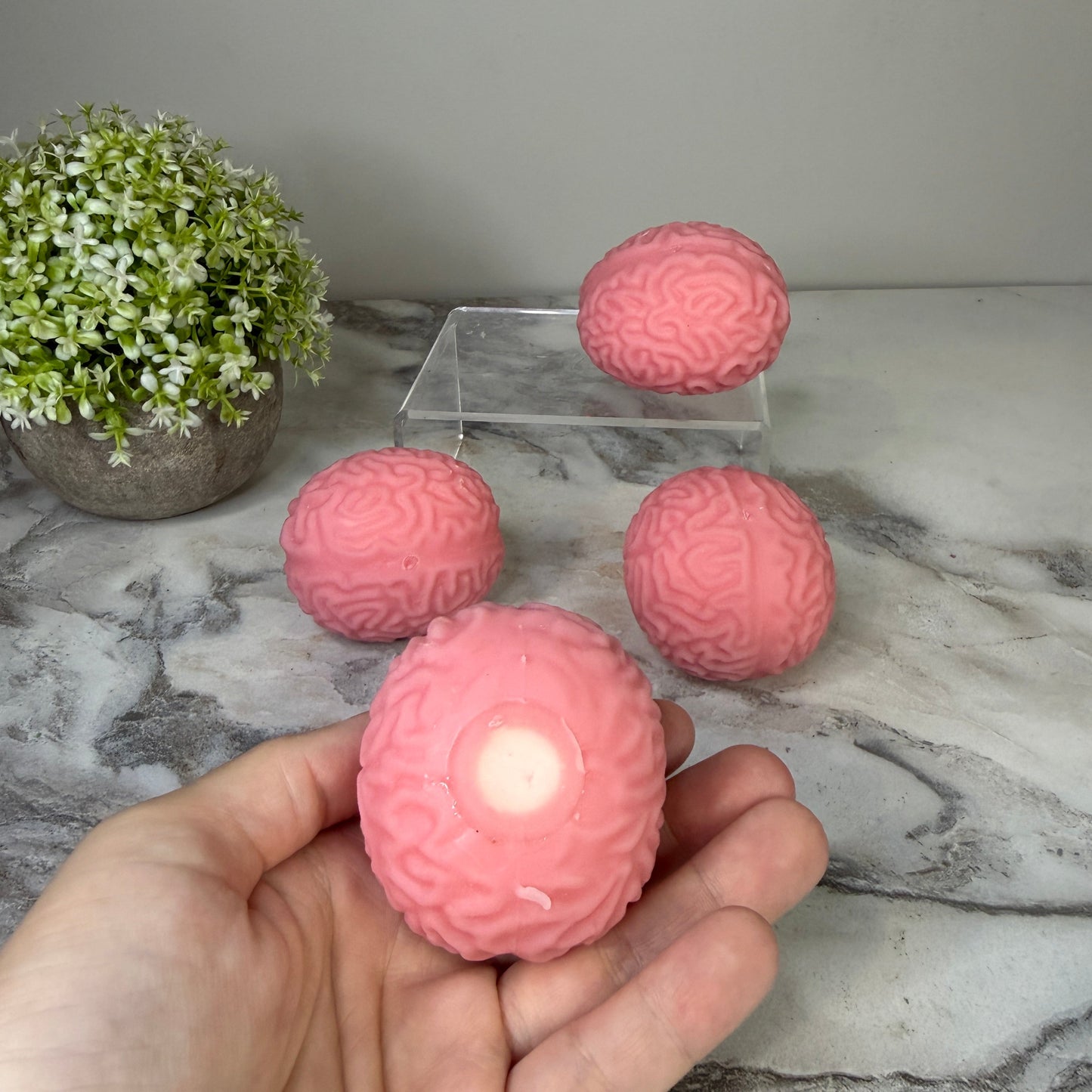 Squishy Toy - Brains