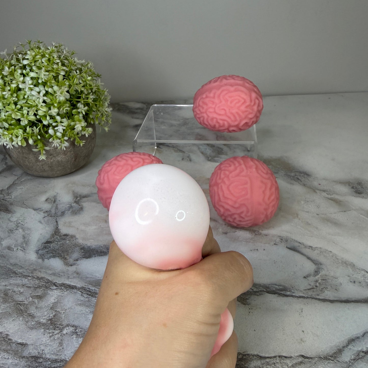 Squishy Toy - Brains