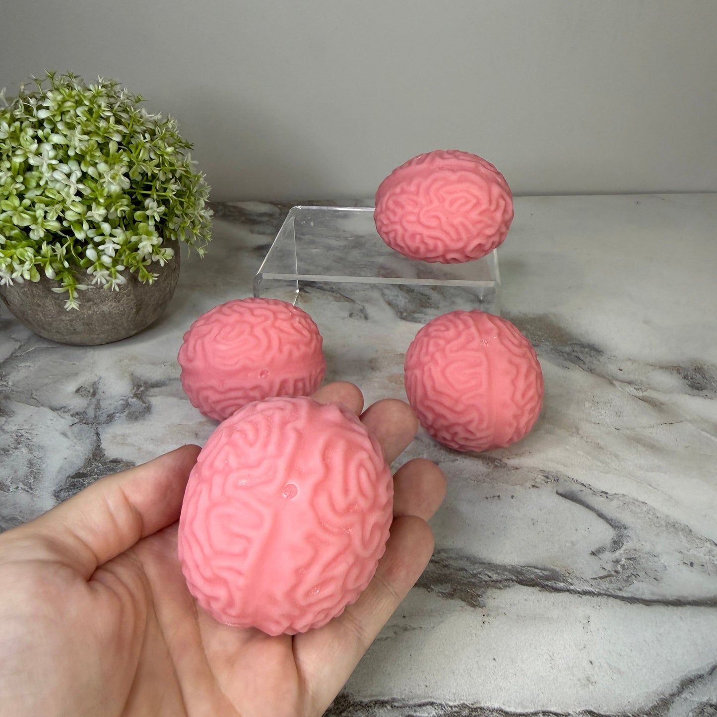 Squishy Toy - Brains