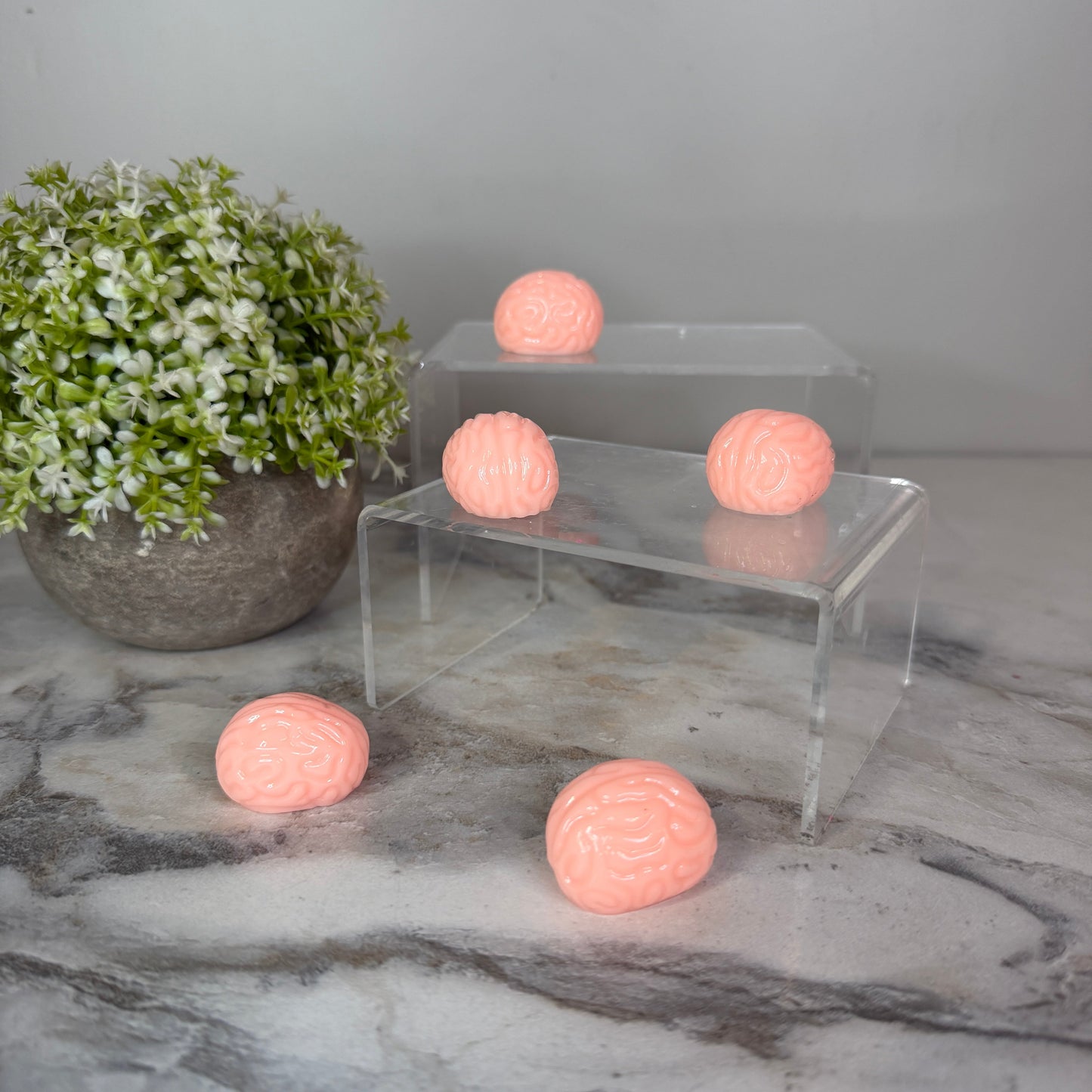 Squishy Toy - Ice Ice Baby Brains