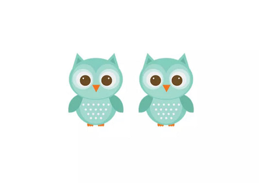 Acrylic Stud Earrings - Mint Owl